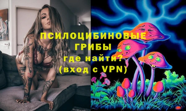 дмт Гусиноозёрск