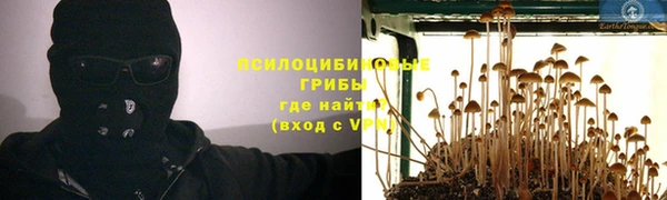 винт Гусев