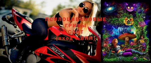 дмт Гусиноозёрск